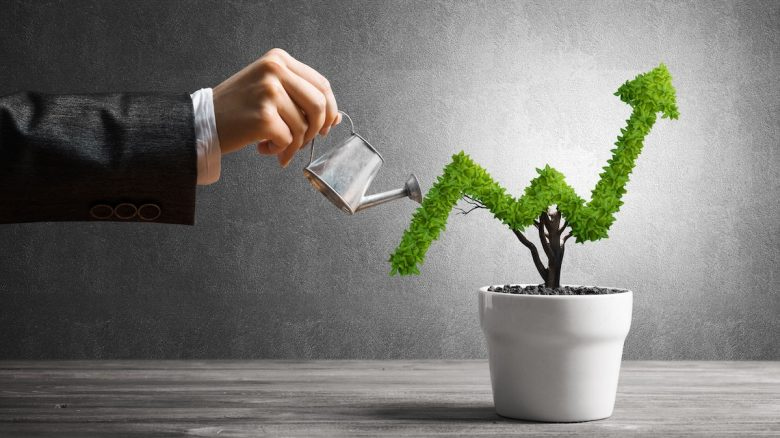 سرمایهگذاری