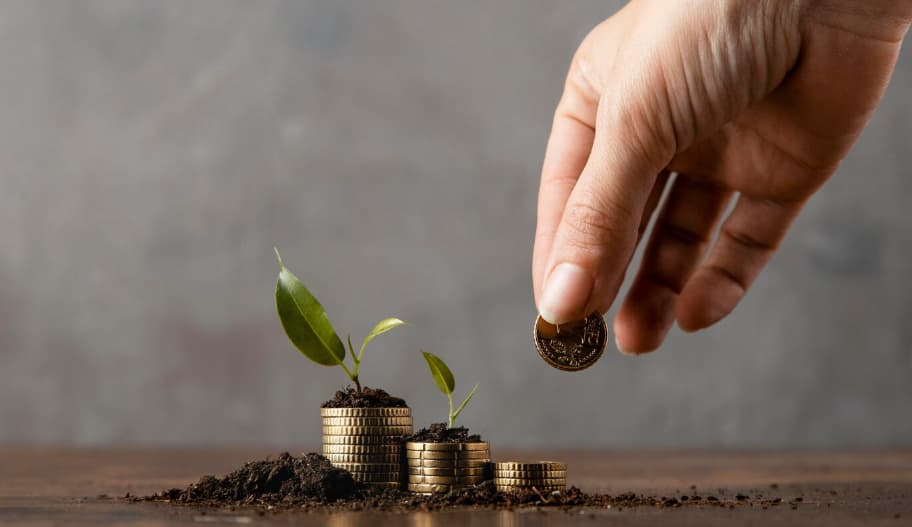 سرمایهگذاری