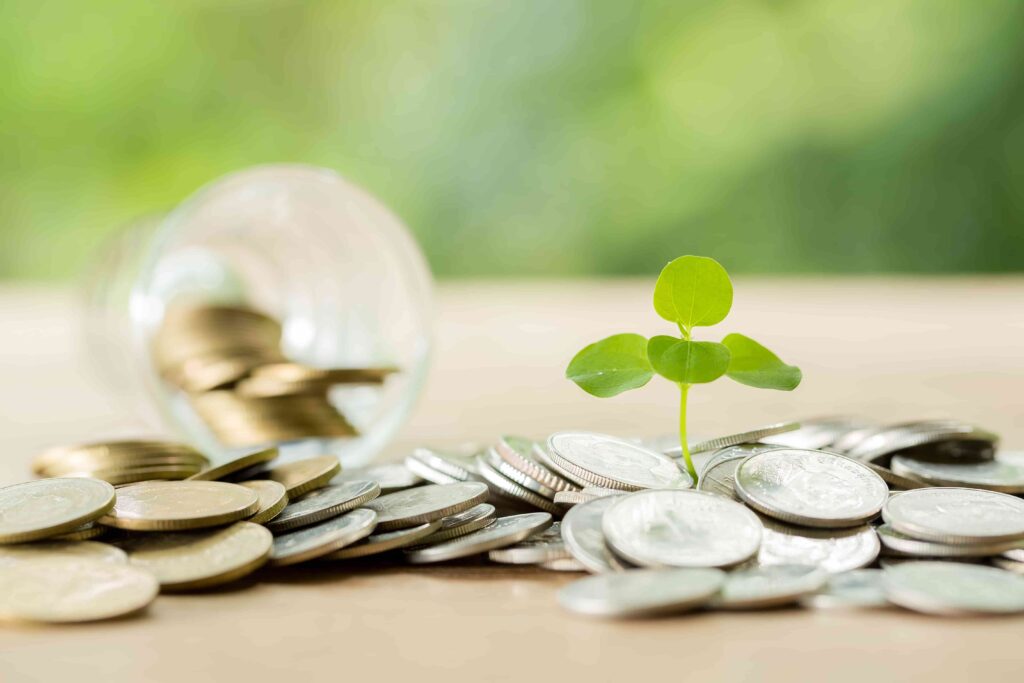 سرمایه‌گذاری